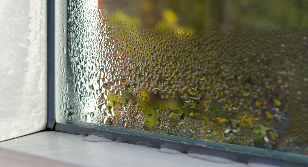 ES Clean Apartment - Blog Header 1