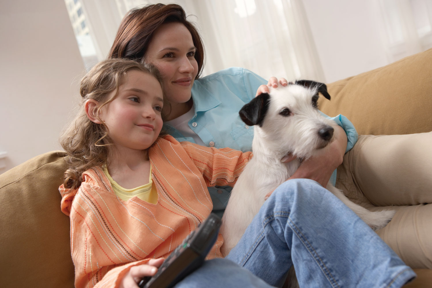 pet-friendly-1500x1000