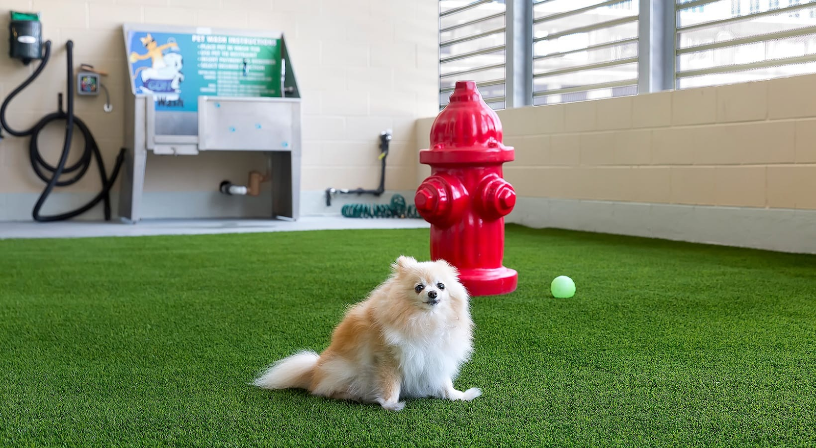 Pet Care at The Whitley in Houston, TX